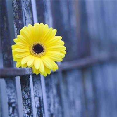 澳门太阳游戏城app下载手机版